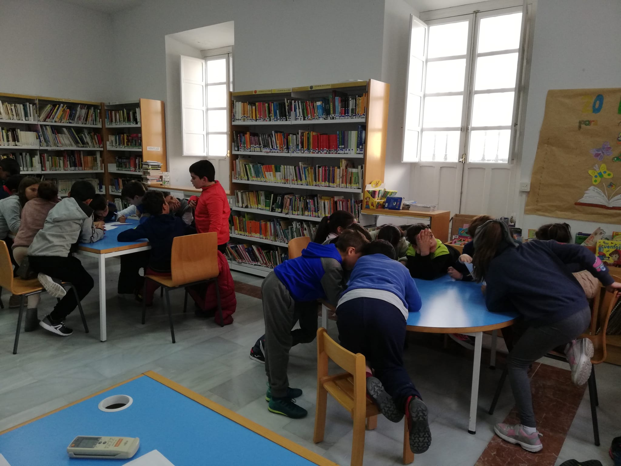 WhatsApp Image 2019-12-17 at 08.27.31 (7)