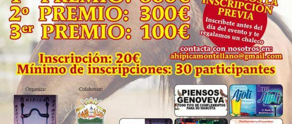 carrera cintas