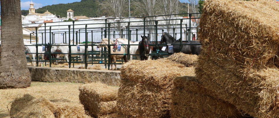 Presentacion_cartel_22_feria