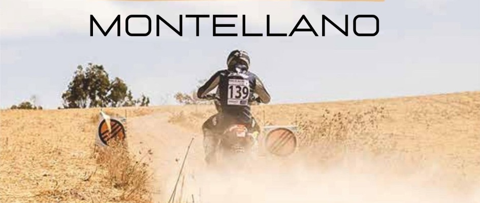 7, 8 Y 10 de octubre 2020