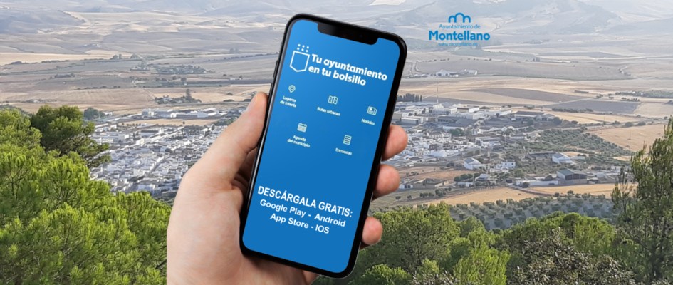 CABECERA APP MONTE_BOLSILLOok