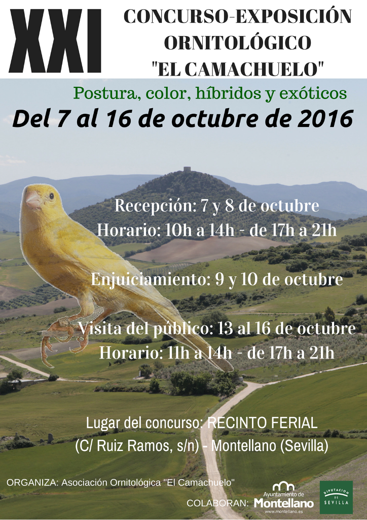 Cartel_CONCURSO ORNITOLOGICO_2016
