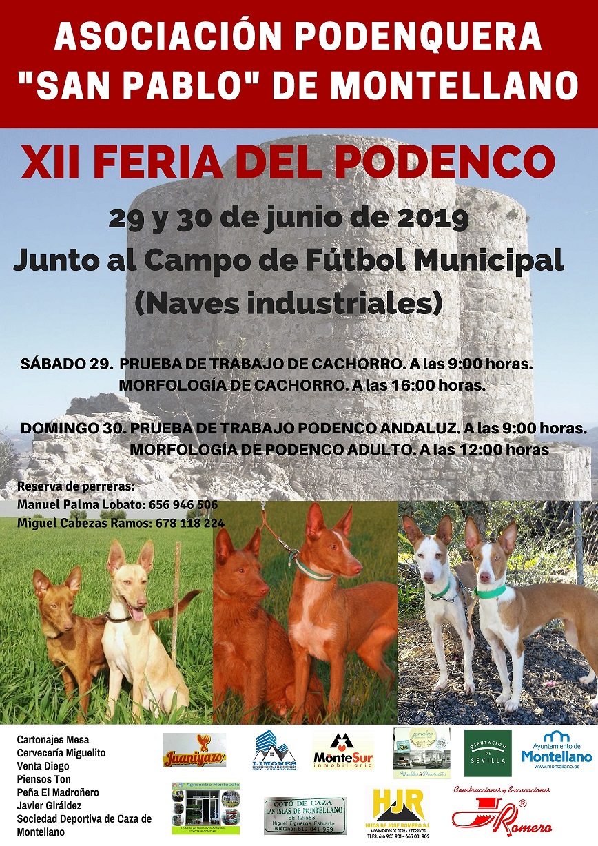 Cartel Feria Podenco 2019_pequeño