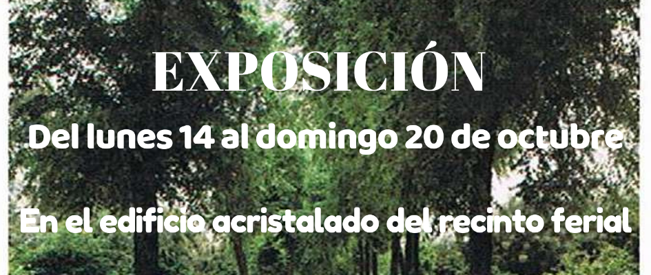 EXPOSICIÓN