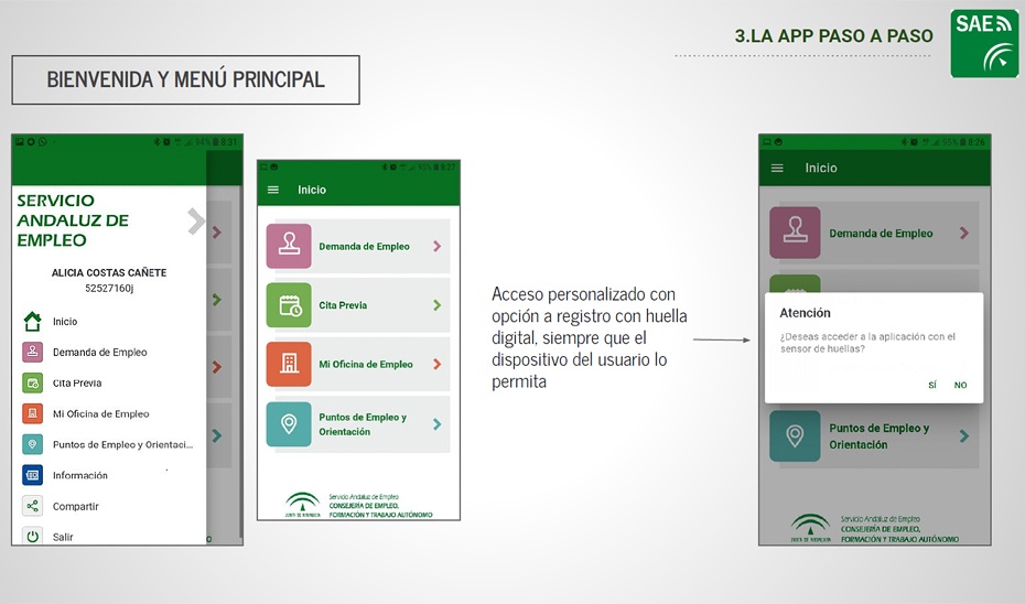 SAE_renovacion demanda