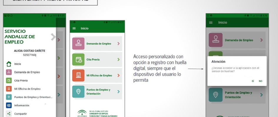 SAE_renovacion demanda