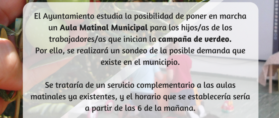 aula_matinal_municipal.png