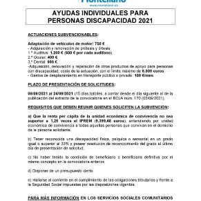 ayudas individuales 2021_discapacidad