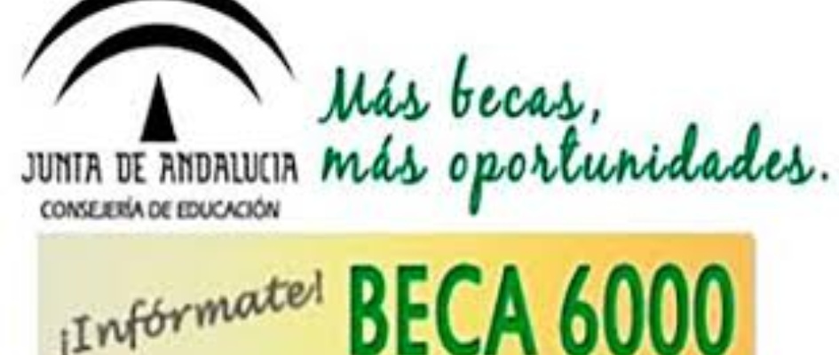 beca 6000