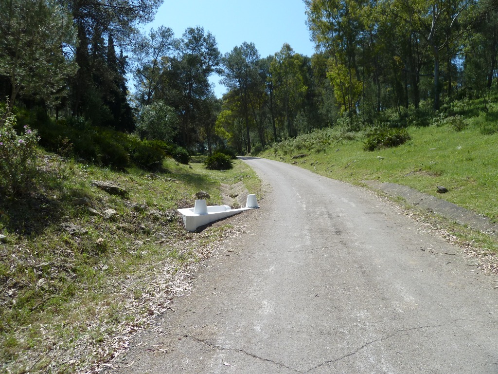 carril_romeria2