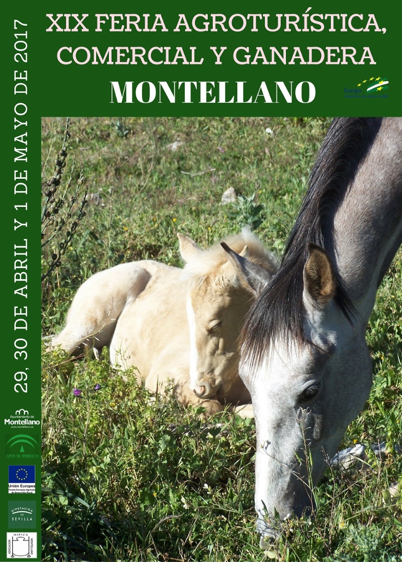 cartel feria agro 2017 final 50-70