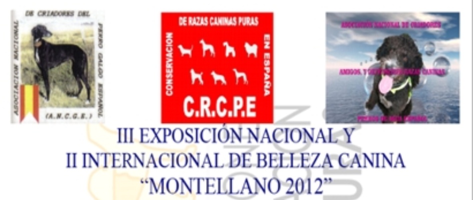 expo_perro_2012.jpg