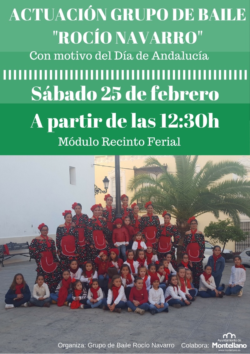 grupo baile rocio navarro