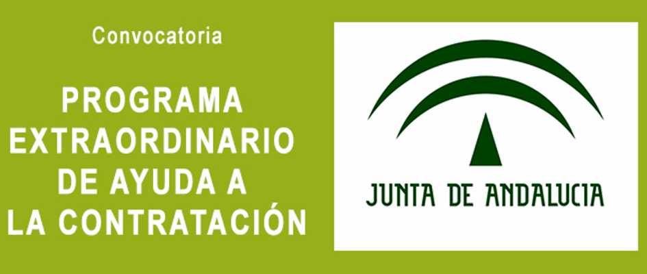 programa_de_ayuda_a_la_contratacion.png