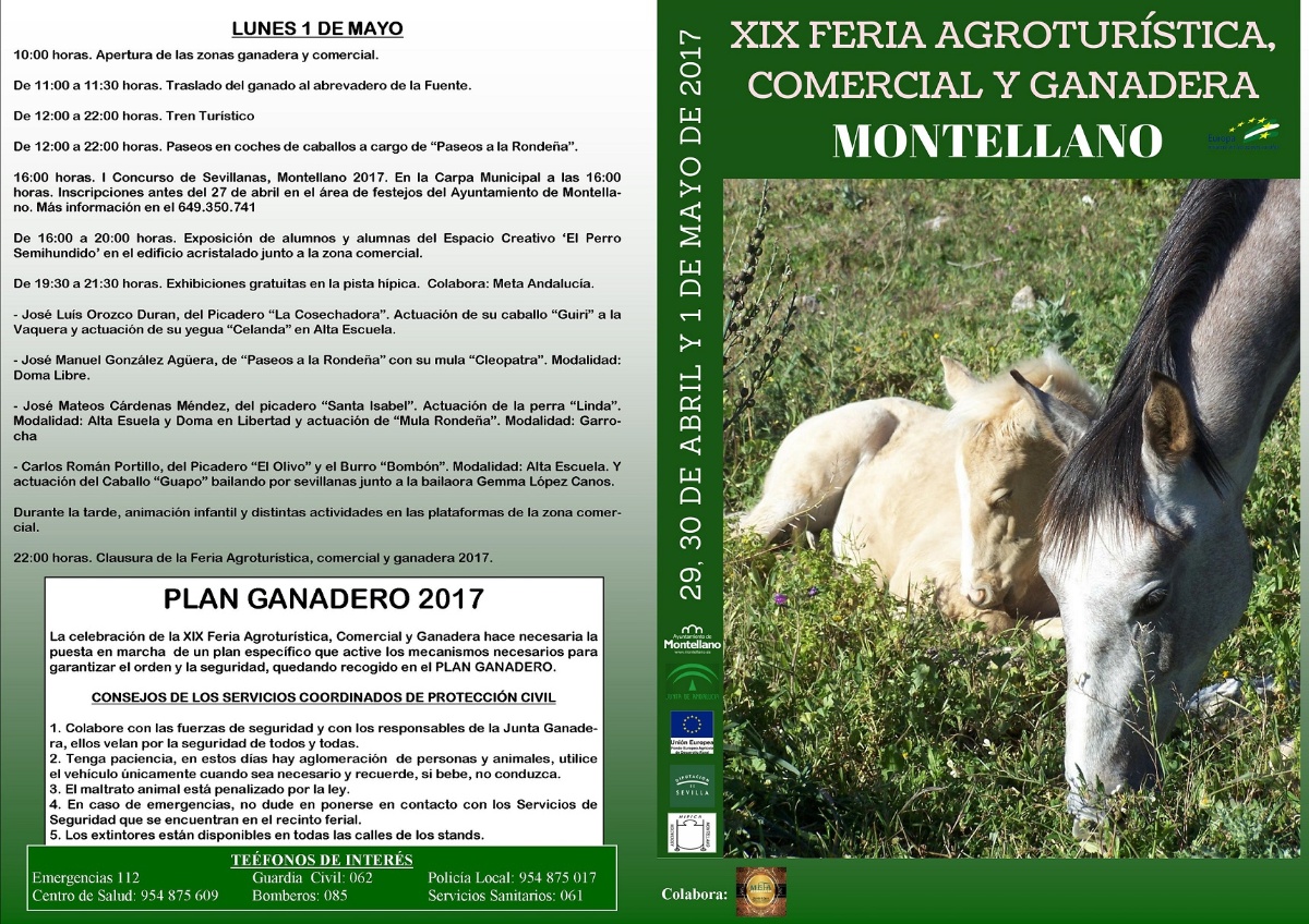 programa feria 2017_portada (1)