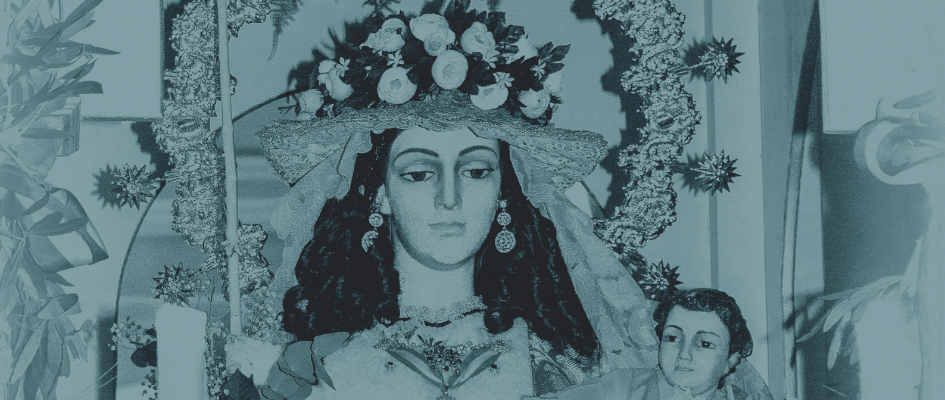 verbena_benefica_2019